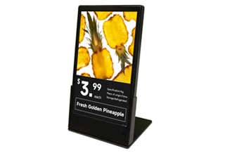 GE-ESL-LCD-PM1019x-2